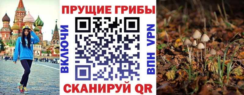 Купить закладки  Бобров  Галлюциногенные грибы Cubensis 